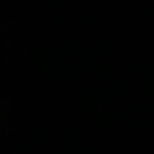 Meet your Posher, Darion